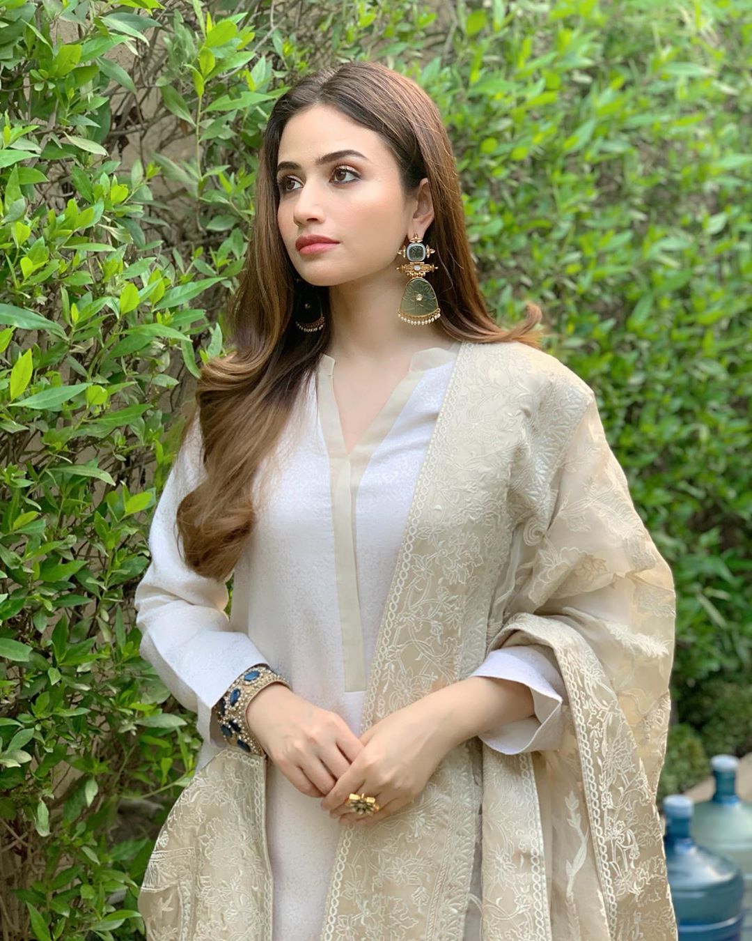 Awesome Pictures of Beautiful Sana Javed
