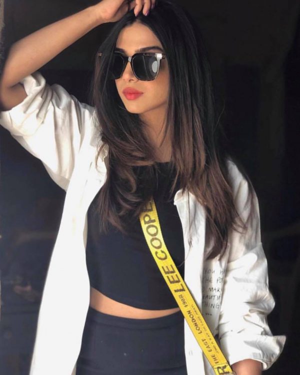 Famous and Stylish Pakistani Celebrities