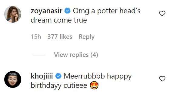 Meerub Ali Celebrates Birthday based on Harry Potter Theme 16 Meerub Ali Celebrates Birthday based on Harry Potter Theme
