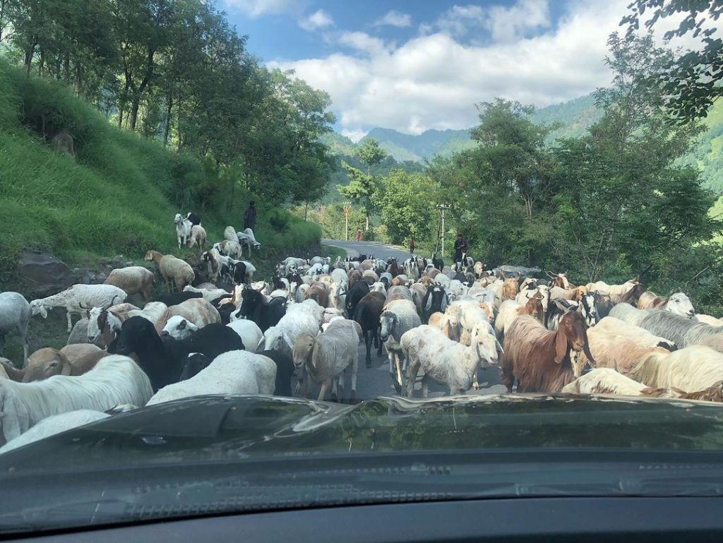 Aisha Khan explores the Valley of Kashmir 5 Aisha Khan explores the Valley of Kashmir