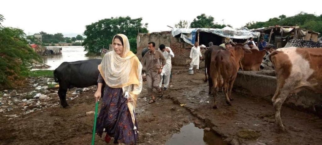ADC Nowshera Going Viral For Her Valiant Efforts In Flood Stricken Areas