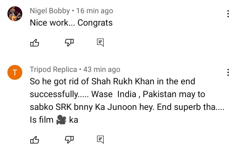 Main Shahrukh Khan Hoon - Story and Public Reactions